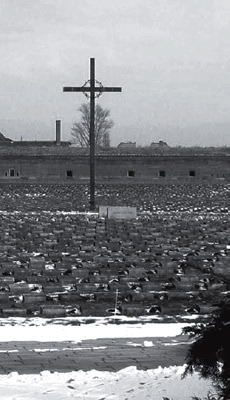 Photograph of military graveyard