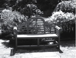 Photograph of a garden bench