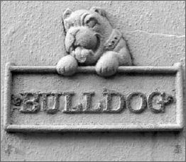 Photograph of a sign reading 'Bulldog'