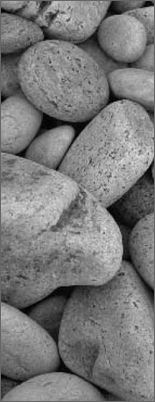 Photograph of pebbles