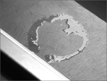 Photograph of a water stain from a mug
