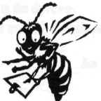 Untitled image of bee