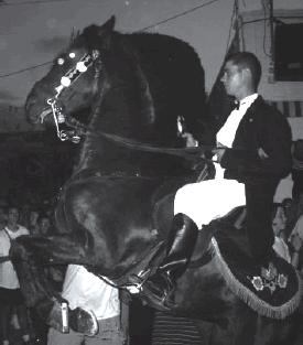 Photograph of smartly-dressed man on rearing horse